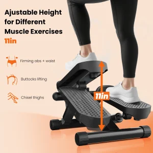 Mini Stepper 300 LBS Weight Capacity